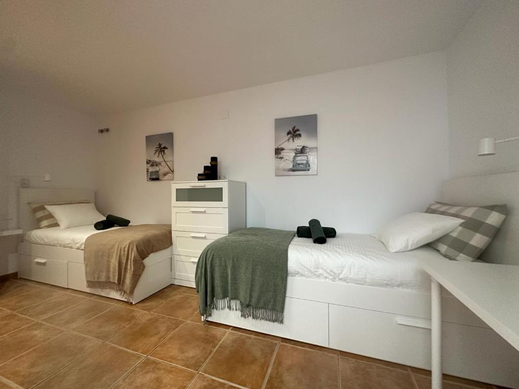 Appartement Casa Cullerer à Amposta Extérieur photo